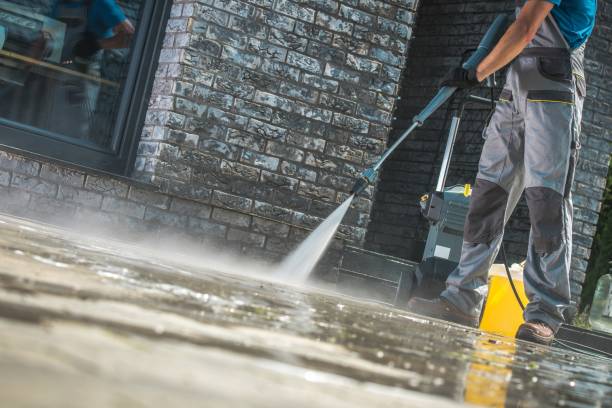 Best Animal Enclosure Cleaning  in Chico, TX