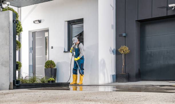 Best Soft Washing  in Chico, TX